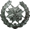 SJAS Zone Officer Badge.gif