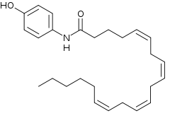 AM404 skel.svg