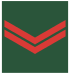 Army-TUR-OR-05.svg