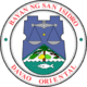 Official seal of San Isidro