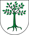 Coat of arms of Kruszwica
