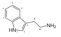 Tryptamine structure.svg
