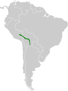 Conopophaga ardesiaca map.svg