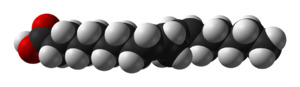 Linoleic-acid-from-xtal-1979-3D-vdW.png