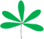 Leaf morphology Palmately compound.png