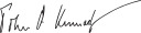 Cursive signature in ink