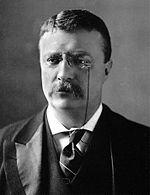 Theodore Roosevelt c1902 mid crop.jpg