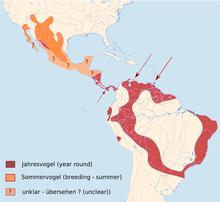 Buteo albonotatus distr.png