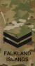 FIDF OR-4 MTP.svg