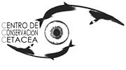 Logo AR Copy2.jpg