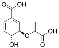 Chemical structure of chorismic acid