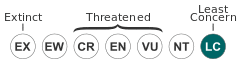 Status iucn3.1 LC.svg
