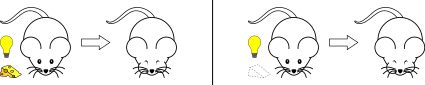 Simultaneous Conditioning.svg