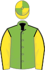 Light green body with black seams, yellow arms with black seams, yellow cap with light green quartered