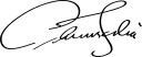 A cursive, not particularly legible "Antonin Scalia"