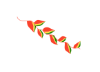 Bandera de la flor de patujú.svg