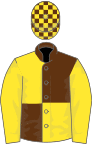 BROWN and YELLOW QUARTERED, yellow sleeves, check cap