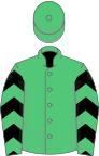 Emerald green, black chevrons on sleeves