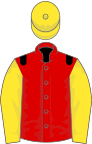 Red, black epaulets, yellow sleeves, black star, yellow cap