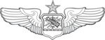 US Air Force Senior Astronaut Observer Navigator Combat System Officer Badge.png