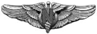 USAAF Flight Nurse Wings.png