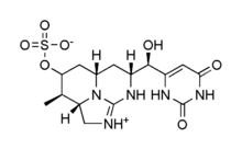Cylindrospermopsin structure2.png