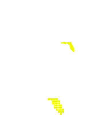 FL yellow.svg