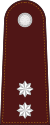 RTP OF-1b (Police Lieutenant).svg