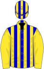 Blue and yellow stripes, yellow sleeves, striped cap