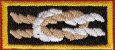 Scouting Service Award
