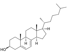 7-Dehydrocholesterol.svg