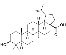 Betulinic acid.svg