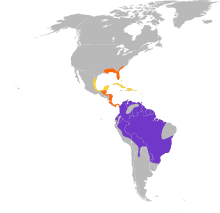 Elanoides forficatus map.svg