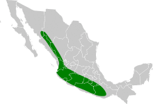 Melozone kieneri map.svg