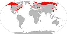 The GS range map.jpg