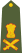 Lieutenant General of the Indian Army.svg
