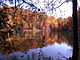 Lake with fall foliage