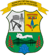 Official seal of San Miguel