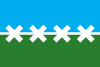Flag of Cedar Park, Texas