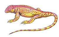 Datheosaurus18DB.jpg