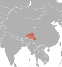 Naemorhedus baileyi.png