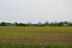 Fields east of Burgoon