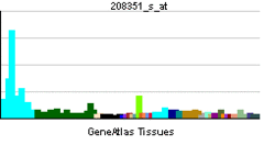 PBB GE MAPK1 208351 s at.png