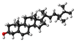 Ball-and-stick model of stigmasterol