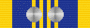 DLSM with Rosette x 2.png