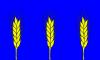 Flag of Xgħajra (1993-2000).svg