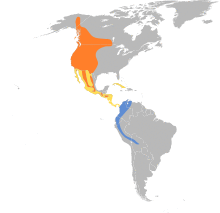 Contopus sordidulus map.svg