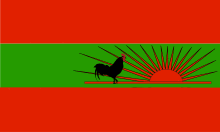 Flag of UNITA.svg