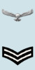 IAF Cpl Arm.png