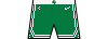 Kit shorts bostonceltics icon.png